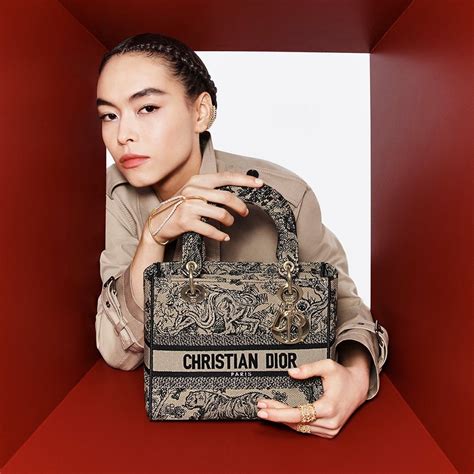 most iconic dior bag|christian Dior bags price list.